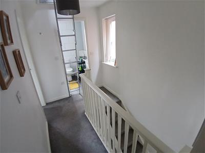 Picture 13